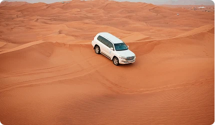 morning desert safari