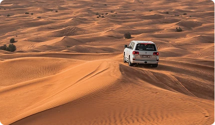 combo 1 dubai city tour and desert safari